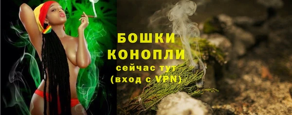 эйфоретик Вяземский