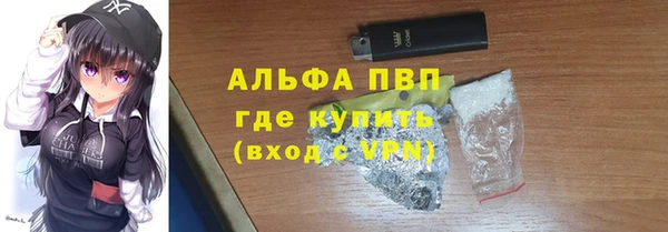 эйфоретик Вяземский