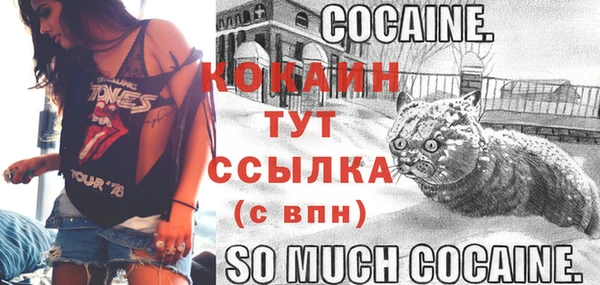 эйфоретик Вяземский