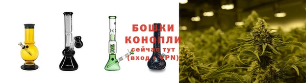 эйфоретик Вяземский