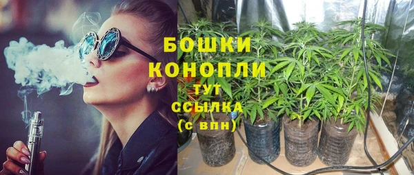 PSILOCYBIN Вязники