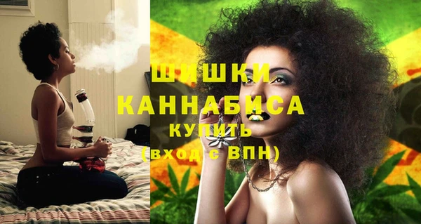 PSILOCYBIN Вязники