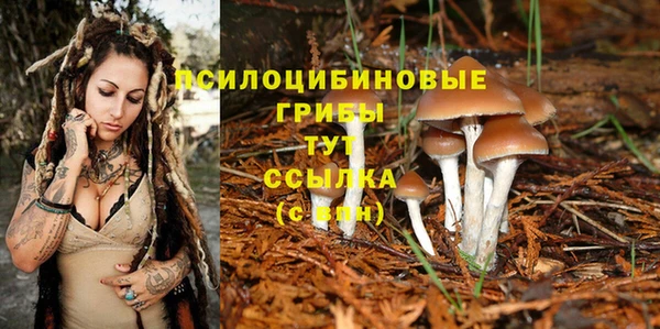 PSILOCYBIN Вязники