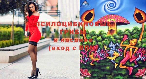 PSILOCYBIN Вязники